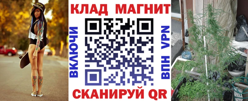 NBOMe Жиздра