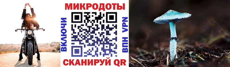 Галлюциногенные грибы мицелий  купить наркоту  Жиздра 